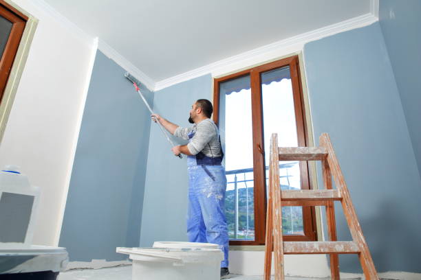 Trusted Templeton, CA Mold Removal Experts