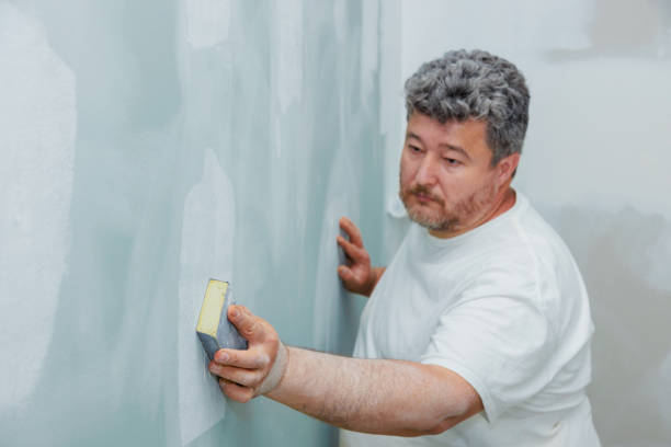 Best Mold Documentation for Insurance Claims  in Templeton, CA