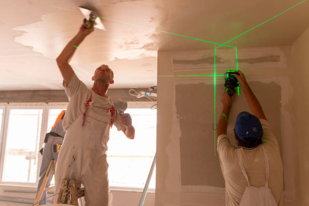 Best Black Mold Removal  in Templeton, CA