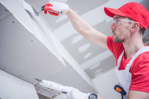 Best Basement Mold Removal  in Templeton, CA